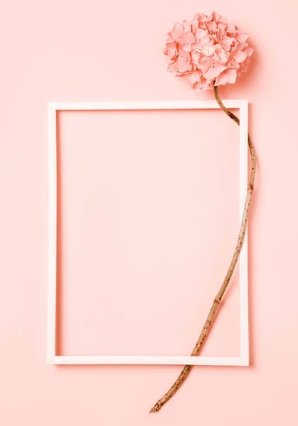 Ροζ Κοραλλιογενές Λουλούδι Τοποθετήστε Την Επιγραφή Στο Πλαίσιο Φυσικό Μινιμαλιστικό — Φωτογραφία Αρχείου