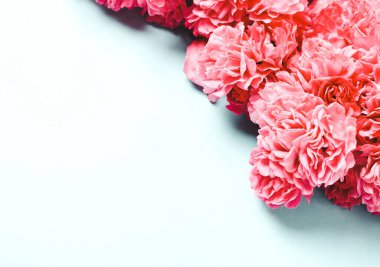 Pembe, mavi arka planda mercan çiçekleri. Metin için yer