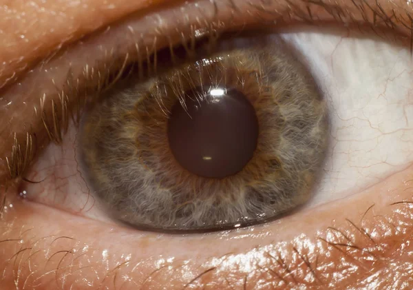 Людське око крупним планом — стокове фото