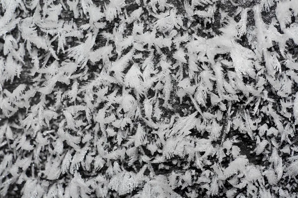 hoarfrost kristalleri