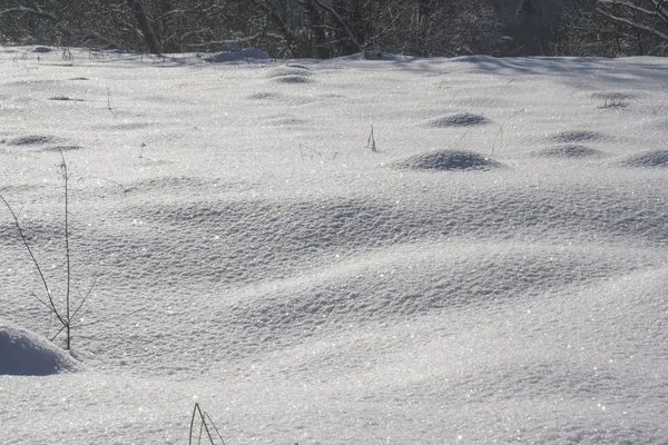 Snow-covered field — Stock Photo, Image