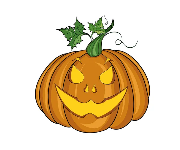 Calabaza. Ilustración vectorial sobre fondo blanco — Vector de stock