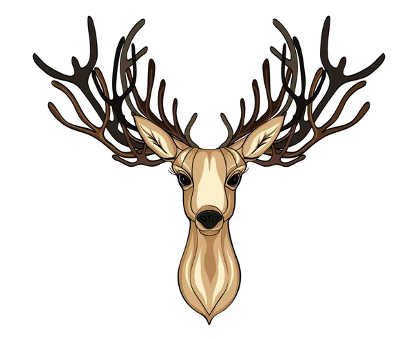 Deer head. Beautiful horns. speaking look. Vector illustrarion — Stock Vector