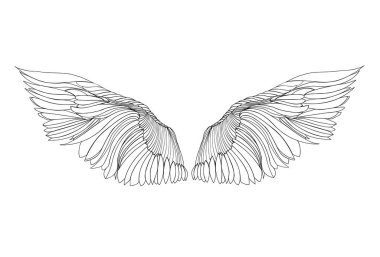 Kanatlar. resimde beyaz arka plan üzerinde. Siyah ve beyaz 