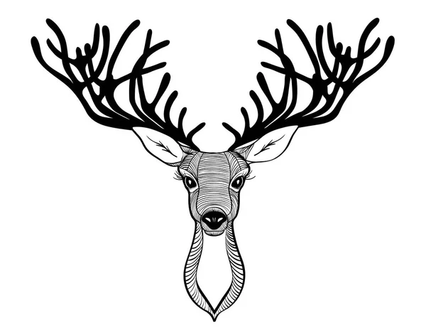 Tête de cerf. De belles cornes. qui parle. illustration — Photo