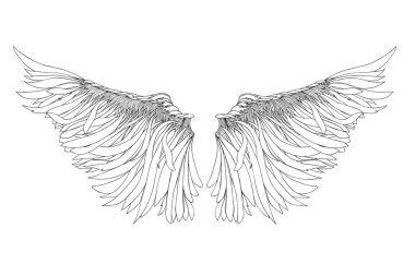 Kanatlar. Beyaz arka plan üzerinde vektör çizim. Siyah ve beyaz 