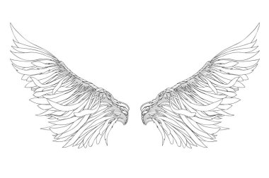 Kanatlar. Beyaz arka plan üzerinde vektör çizim. Siyah ve beyaz 