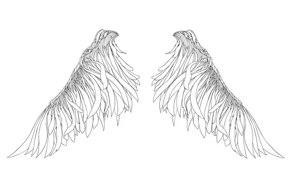 Крила. Векторні ілюстрації на білому тлі. Чорно-білий — стоковий вектор