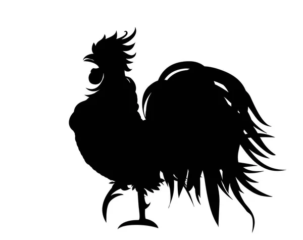 Silhouette rooster. Vector. Monochrome. Black and white graphic — Stock Vector