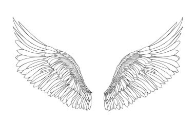 Kanatlar. Beyaz arka plan üzerinde vektör çizim. Siyah ve beyaz 