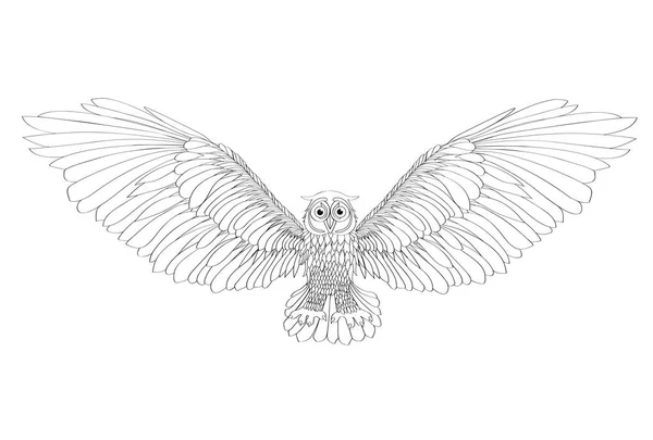 Ilustração gráfica da coruja voadora. Ilustração vetorial. Preto. — Vetor de Stock