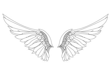 Kanatlar. Beyaz arka plan üzerinde vektör çizim. Siyah ve beyaz 