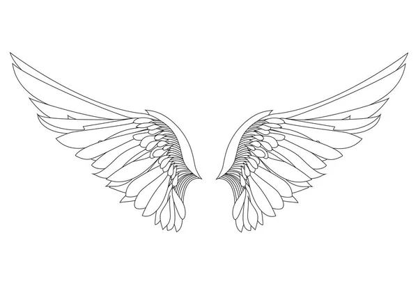 Des ailes. Illustration vectorielle sur fond blanc. Noir et blanc — Image vectorielle