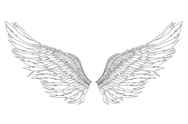 Kanatlar. Beyaz arka plan üzerinde vektör çizim. Siyah ve beyaz 