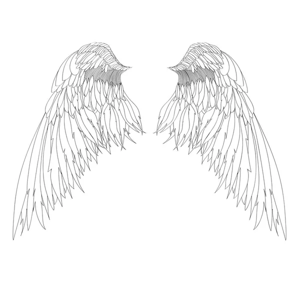 Křídla. Vektorové ilustrace na bílém pozadí. Černá a bílá — Stockový vektor