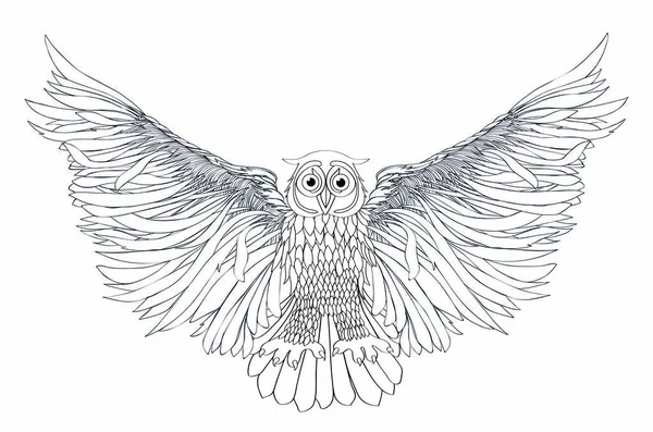 Graphic illustration of flying owl. Vector illustration. Black — Stock Vector