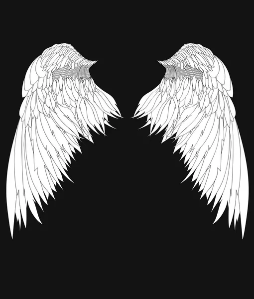 Крылья. Векторная иллюстрация на черном фоне. Черное и белое — стоковый вектор