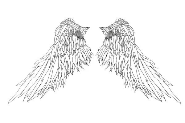 Wings. Vector illustration on black background. Black and white — Stock Vector