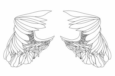 Kanatlar. Beyaz arka plan üzerinde vektör çizim. Siyah ve beyaz 