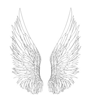 Kanatlar. Beyaz arka plan üzerinde vektör çizim. Siyah ve beyaz 