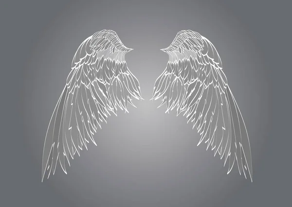 Des ailes. Illustration vectorielle sur fond gris . — Image vectorielle
