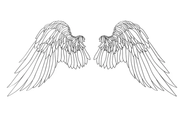 Φτερά. Εικονογράφηση διάνυσμα σε άσπρο φόντο. Μαύρο και άσπρο — Διανυσματικό Αρχείο
