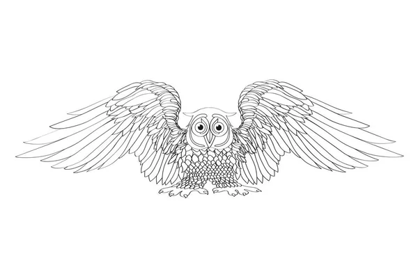 Graphic illustration of flying owl. Vector illustration. Black a — Stock Vector