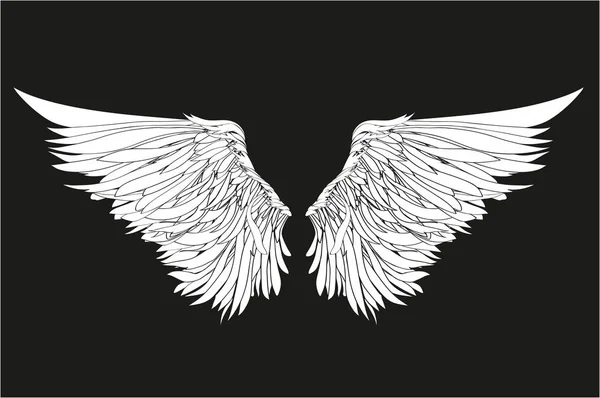 翼。黒の背景のベクトル図。黒と白 — ストックベクタ