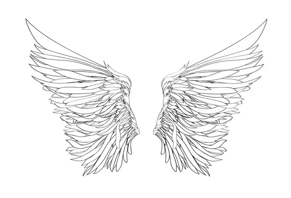 Des ailes. Illustration vectorielle sur fond blanc. Noir et blanc — Image vectorielle