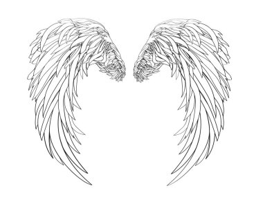 Kanatlar. Beyaz arka plan üzerinde vektör çizim. Siyah ve beyaz stili