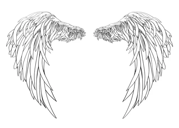 Des ailes. Illustration vectorielle sur fond blanc. Noir et blanc — Image vectorielle