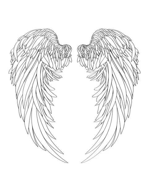 Des ailes. Illustration vectorielle sur fond blanc. Noir et blanc — Image vectorielle