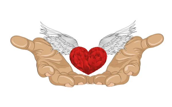 Жест открыт ладонь. Hand gives heart with wings.Valentine 's day — стоковый вектор