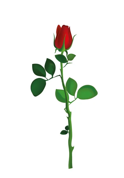 Una flor roja. ¡Rose! Tarjeta de felicitación para la boda de San Valentín — Vector de stock