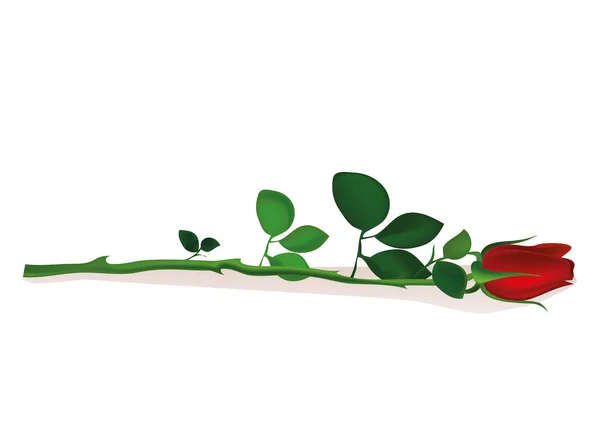 Un fiore rosso. Rose mente. Biglietto di auguri per San Valentino — Vettoriale Stock