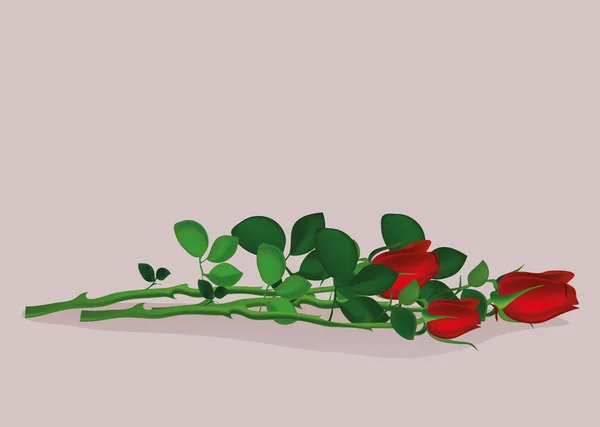 Tres flores rojas. Rose miente. Espacio vacío para tu texto — Vector de stock