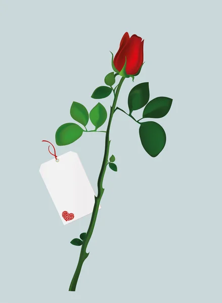 Rosa roja con la tarjeta vacía en blanco para el mensaje o texto. Tarjeta postal — Vector de stock