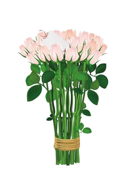 Ramo de flores rosadas. Rosas atadas con una cuerda. Dentro en blanco — Vector de stock