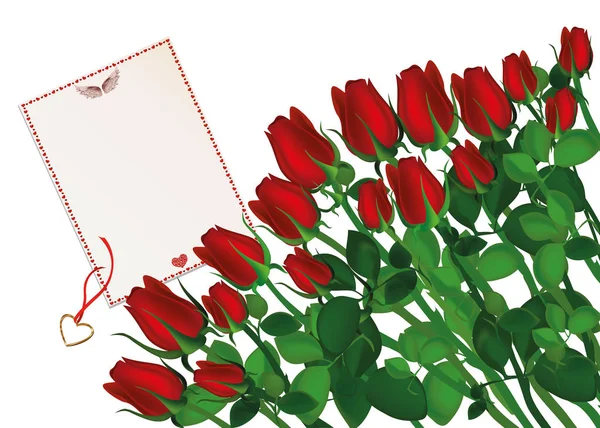 Lindas flores vermelhas. Rosas com envelope e branco. Espaço vazio. — Vetor de Stock