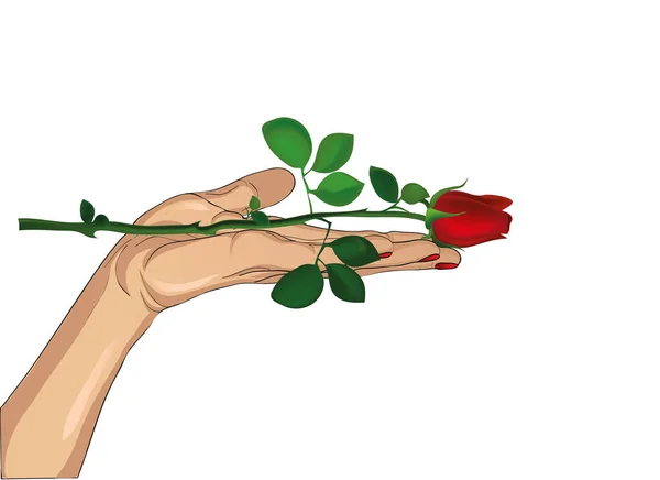 Flor rosa vermelha em sua mão. Dá-lhe as mãos. Dia de hoje —  Vetores de Stock