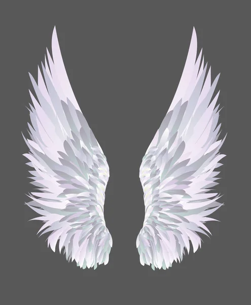 Des ailes. Illustration vectorielle sur fond gris . — Image vectorielle