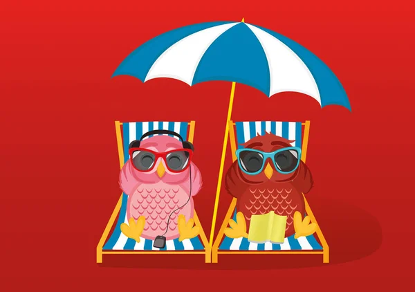 Милые две совы в солнечных очках на отдыхе лежат на пляже — стоковый вектор