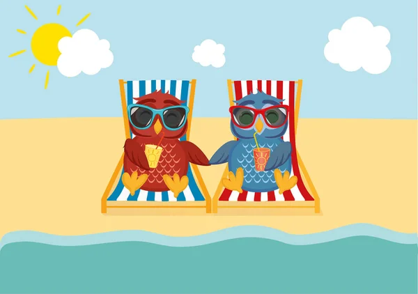 Leuke twee uilen met zonnebril op vakantie liggend op het strand — Stockvector