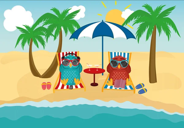 Leuke twee uilen met zonnebril op vakantie op het strand liggen — Stockvector