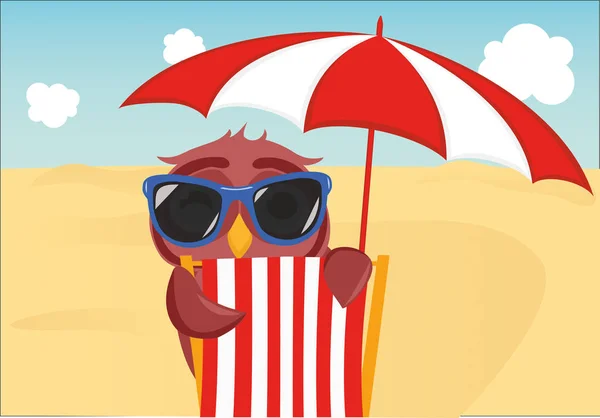 Leuke uil met zonnebril op vakantie op het strand liggen — Stockvector