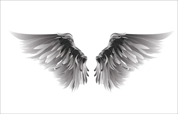 Des ailes. Illustration vectorielle sur fond blanc. Noir et blanc — Image vectorielle