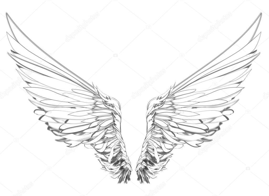 Wings.  illustration on white background. Black and white  