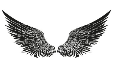 Kanatlar. Beyaz arka plan üzerinde vektör çizim. Siyah ve beyaz 