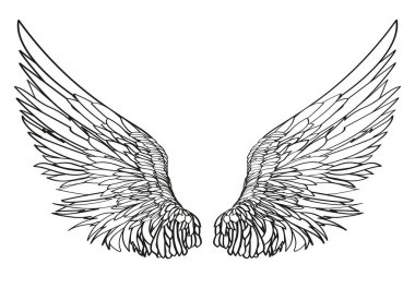 Kanatlar. Beyaz arka plan üzerinde vektör çizim. Siyah ve beyaz 