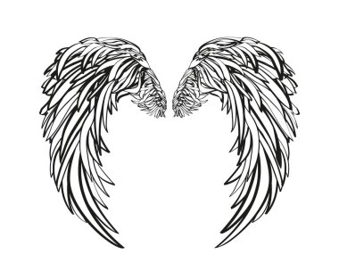 Kanatlar. Beyaz arka plan üzerinde vektör çizim. Siyah ve beyaz  
